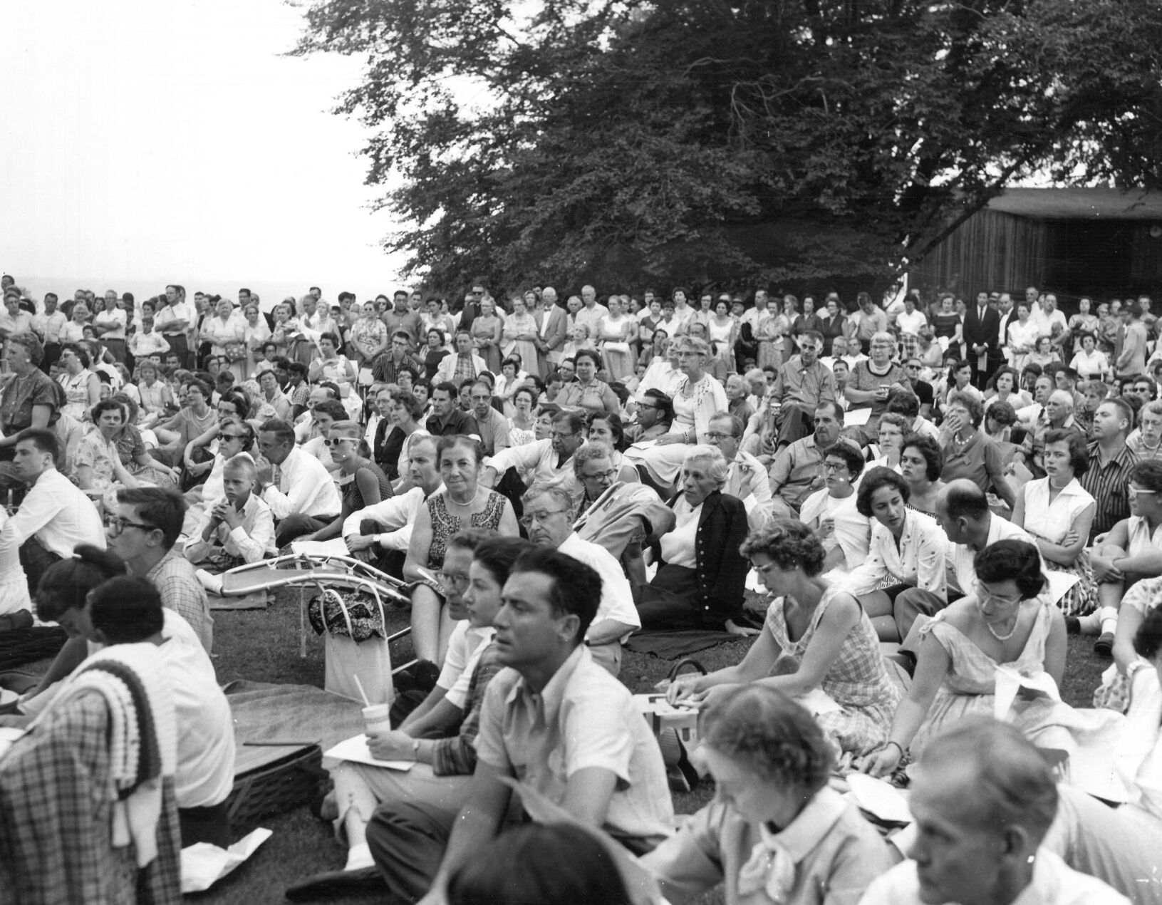 View on the lawn